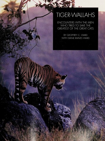 Book cover for Tiger Wallahs