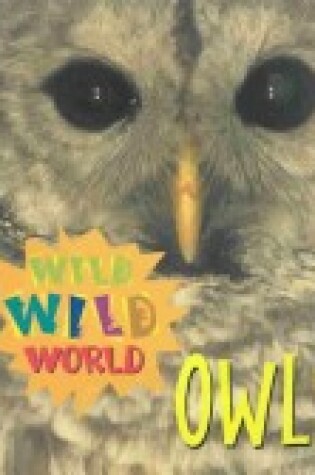 Cover of Owls