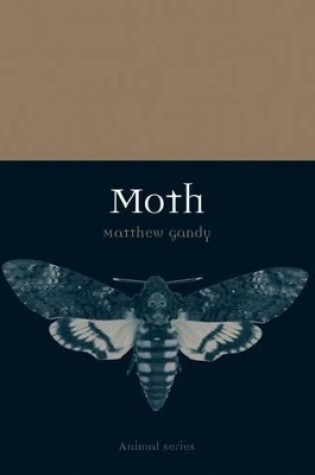 Cover of Moth