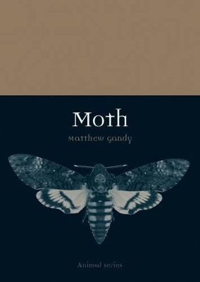 Book cover for Moth