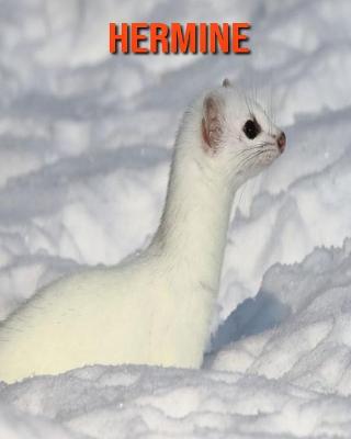 Book cover for Hermine