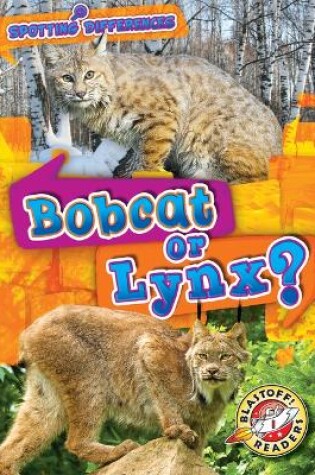 Cover of Bobcat or Lynx?