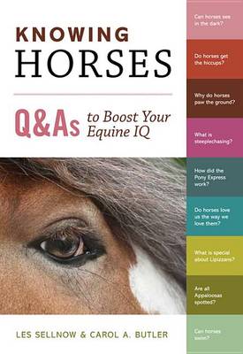 Book cover for Knowing Horses