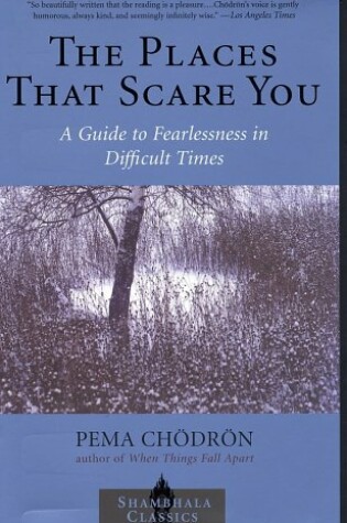 Cover of Places That Scare You, the