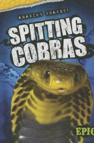 Cover of Spitting Cobras