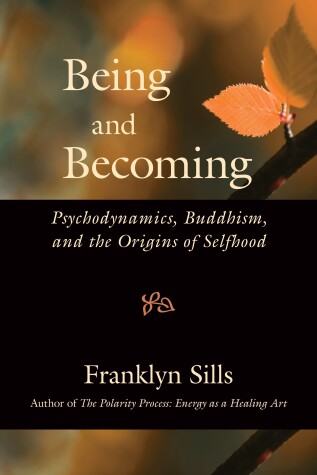 Cover of Being and Becoming