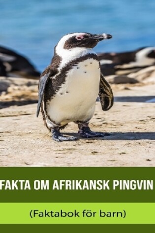 Cover of Fakta om Afrikansk pingvin (Faktabok för barn)
