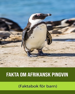 Book cover for Fakta om Afrikansk pingvin (Faktabok för barn)