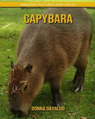 Book cover for Capybara