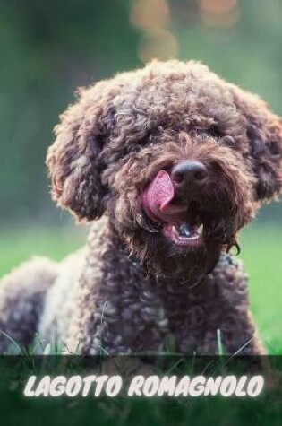 Cover of Lagotto Romagnolo