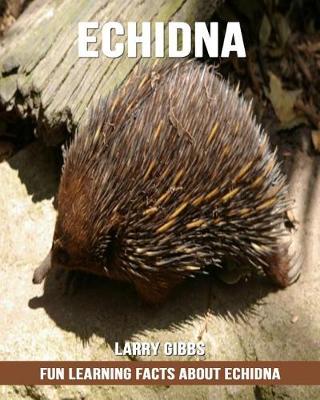 Book cover for Fun Learning Facts about Echidna