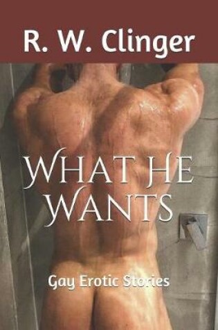 Cover of What He Wants