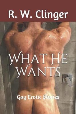 Book cover for What He Wants