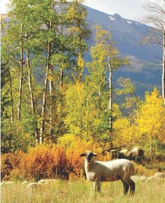 Book cover for Cute Sheep in the Rocky Mountains Wildlife Photograph College-ruled Lined School Composition Notebook