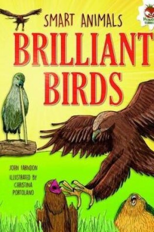 Cover of Brilliant Birds