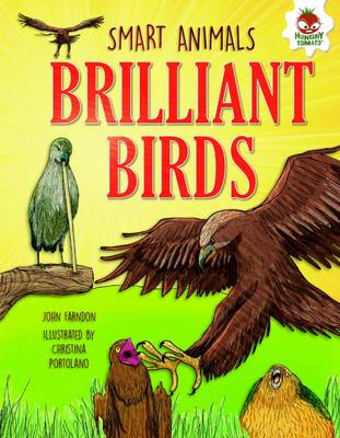 Book cover for Brilliant Birds