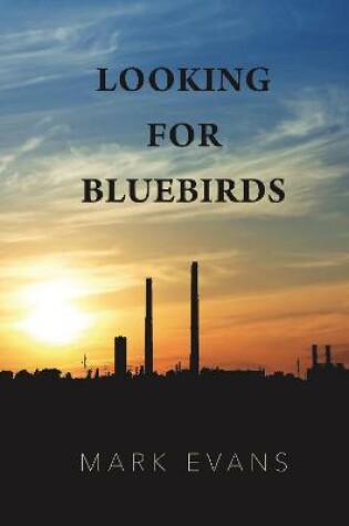 Cover of Looking for Bluebirds