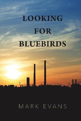 Book cover for Looking for Bluebirds