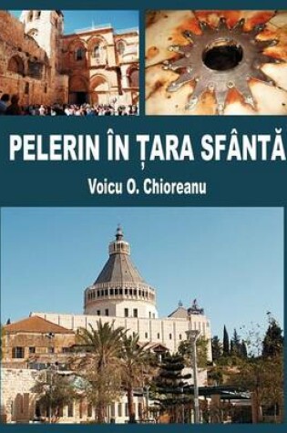 Cover of Pelerin in Tara Sfanta