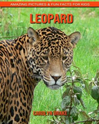 Book cover for Leopard