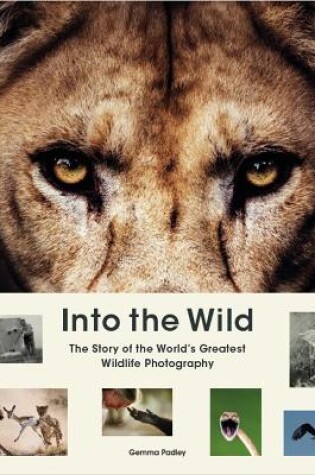 Cover of Into the Wild