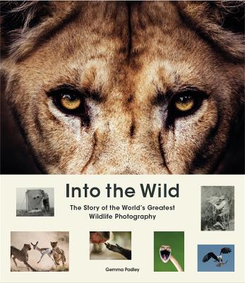 Book cover for Into the Wild