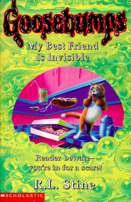 Book cover for My Best Friend is Invisible