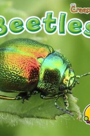 Cover of Beetles
