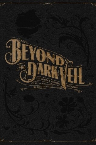 Cover of Beyond the Dark Veil