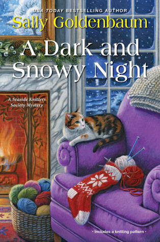 Cover of A Dark and Snowy Night