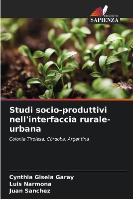 Book cover for Studi socio-produttivi nell'interfaccia rurale-urbana