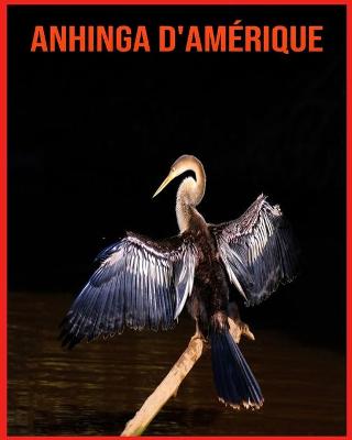 Book cover for Anhinga d'Amérique