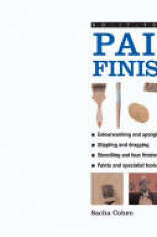 Cover of Do it Yourself: Paint Finishes