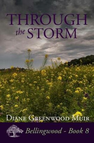 Cover of Through the Storm