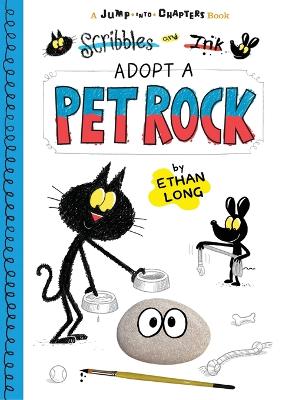 Book cover for Scribbles and Ink Adopt a Pet Rock