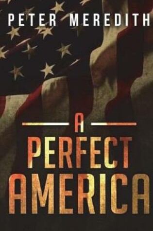 Cover of A Perfect America