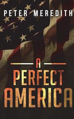 Book cover for A Perfect America