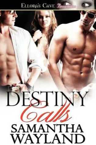 Cover of Destiny Calls