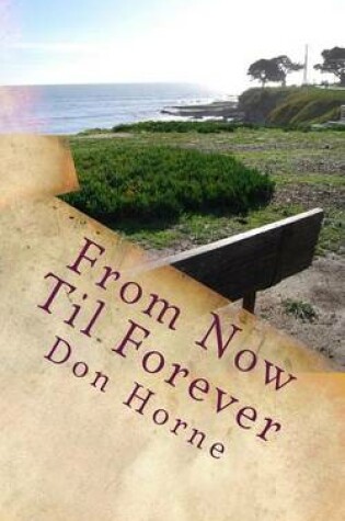 Cover of From Now Til Forever