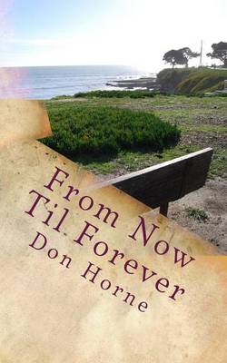 Book cover for From Now Til Forever