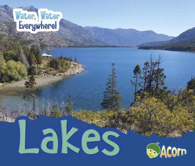 Book cover for Lakes (Water, Water Everywhere!)