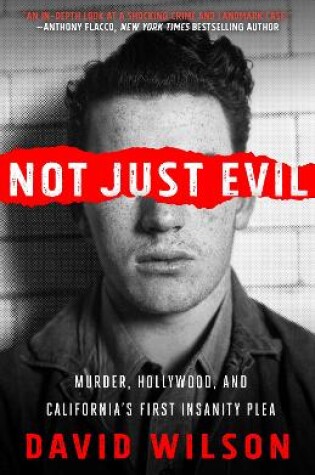 Cover of Not Just Evil