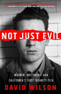 Book cover for Not Just Evil