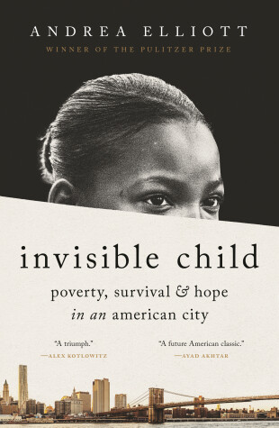 Book cover for Invisible Child