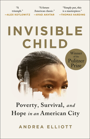 Book cover for Invisible Child