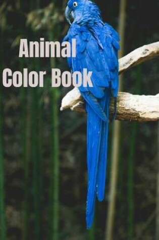 Cover of Animal color book