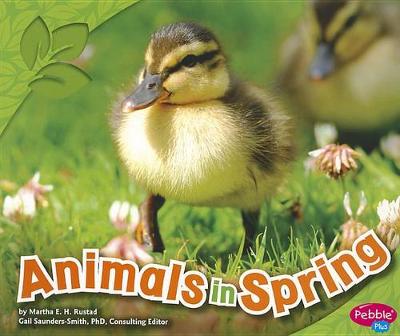 Book cover for Animals in Spring (All About Spring)