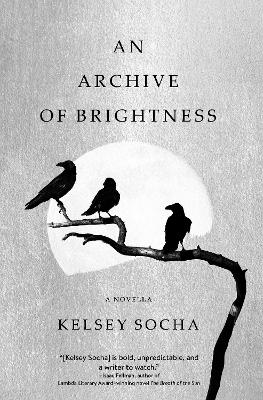 Book cover for An Archive of Brightness