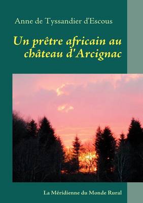 Book cover for Un PR Tre Africain Au Ch Teau D'Arcignac