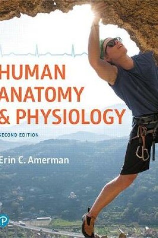 Cover of Human Anatomy & Physiology Plus Mastering A&p with Pearson Etext -- Access Card Package